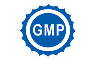 Yifex get the GMP certificate