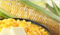 Corn ( Maize )