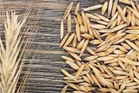 Rye