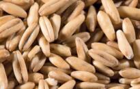 Oats