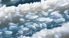 Reconstituted & Fortified Rice